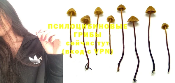 кокаин Горняк