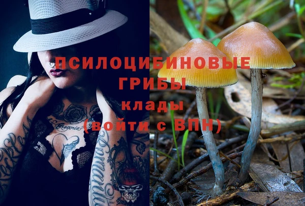 COCAINE Горно-Алтайск